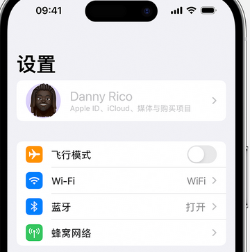 营根镇appleID维修服务iPhone设置中Apple ID显示为灰色无法使用 