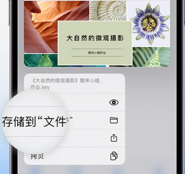 营根镇apple维修中心分享iPhone文件应用中存储和找到下载文件