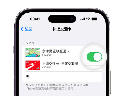 营根镇apple维修点分享iPhone上更换Apple Pay快捷交通卡手绘卡面 