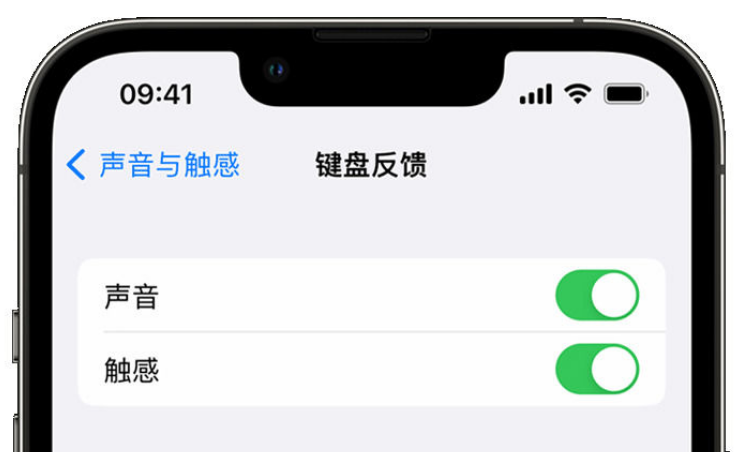 营根镇苹果手机维修分享iPhone 14触感键盘使用方法 