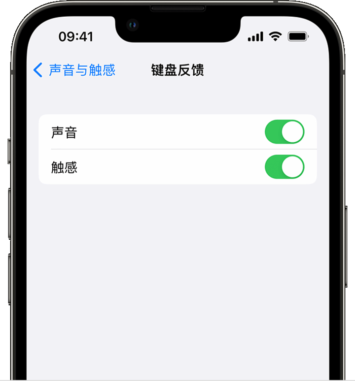 营根镇苹果14维修店分享如何在 iPhone 14 机型中使用触感键盘 