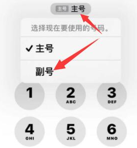 营根镇苹果14维修店分享iPhone 14 Pro Max使用副卡打电话的方法 