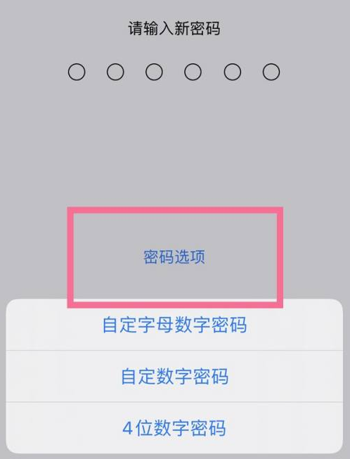 营根镇苹果14维修分享iPhone 14plus设置密码的方法 