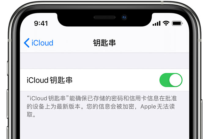 营根镇苹果手机维修分享在 iPhone 上开启 iCloud 钥匙串之后会储存哪些信息 