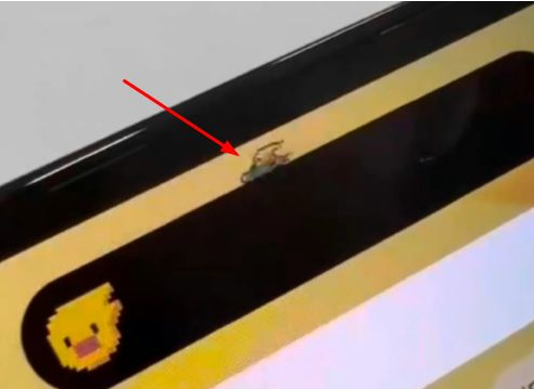 营根镇苹果14维修分享iPhone 14 Pro Max灵动岛怎么养宠物 