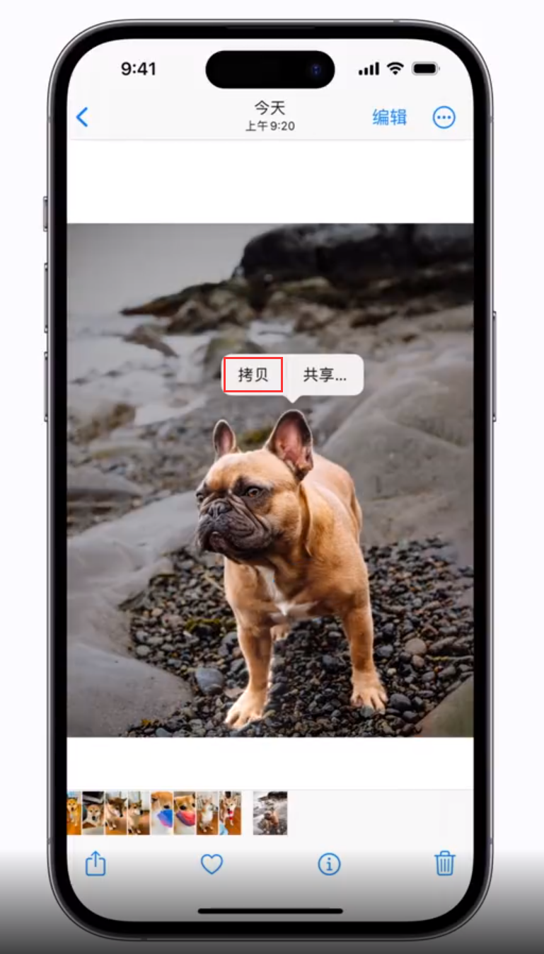 营根镇 苹果手机维修分享iOS 16 “照片”应用更新内容与改进汇总 