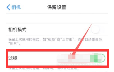 营根镇苹果13维修分享iPhone13拍照有绿点是怎么回事 