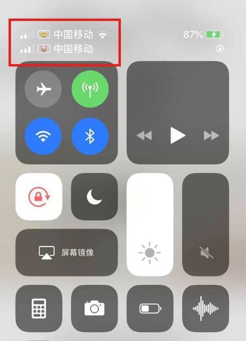 营根镇苹果手机维修分享为 iPhone 12 双卡设置标签 
